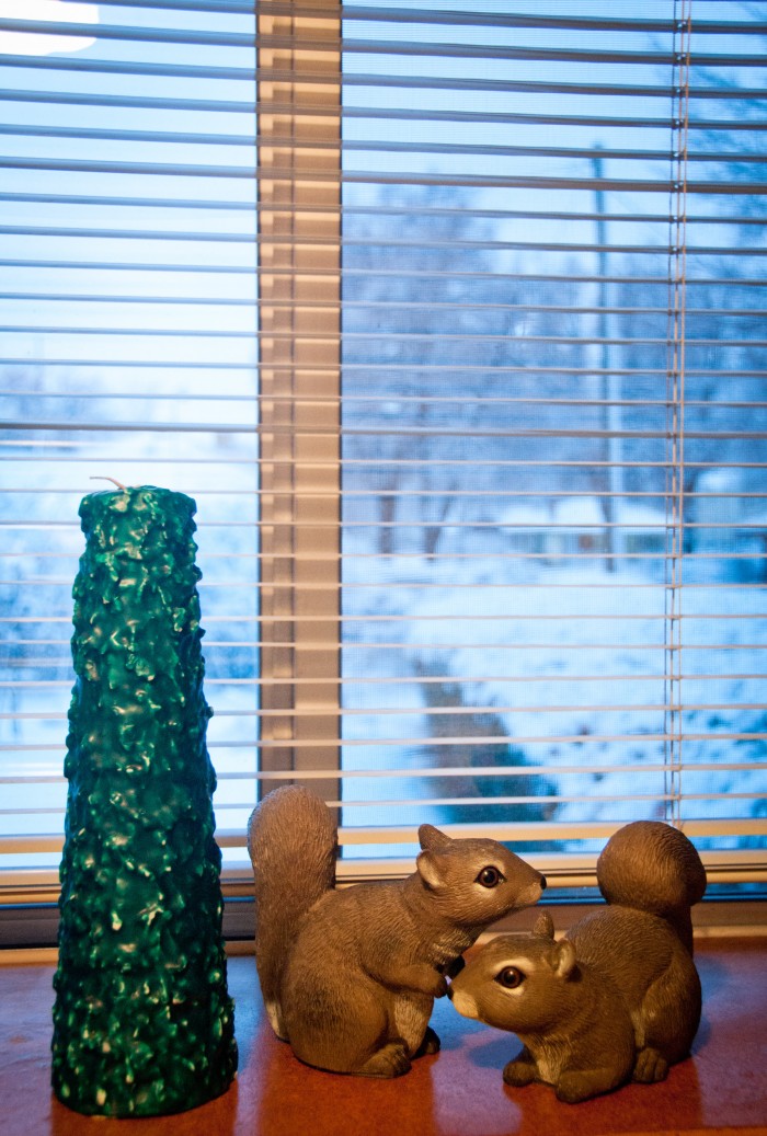 Candle & Squirrels at G&G Muelleck's Salt Lake City, Utah