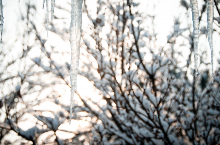 Snow, snow, snow, snow, snow Highland, Utah